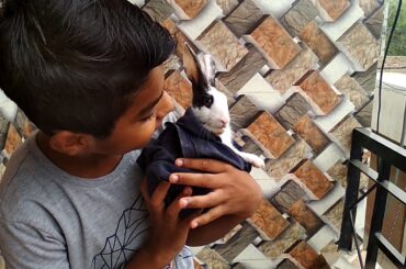 I am playing with cute rabbit