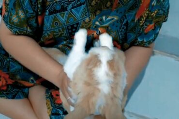 [Moment] My Pet | Berry | Cute Rabbit | Cute Bunny