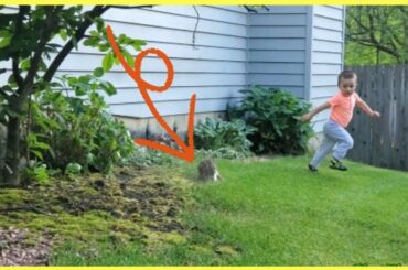 Try not to Laugh when Baby and Bunny scare each other || Funny Baby || TinoNinos