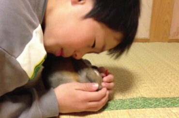 Baby bunny rabbit 13 day progress , Hug Rub