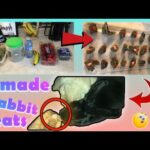 How To Make Homemade Rabbit TREATS