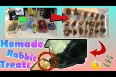 How To Make Homemade Rabbit TREATS