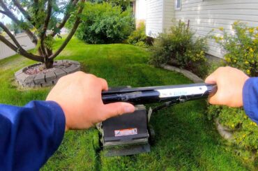 Baby Rabbit Hiding and Watches Me Mow My Lawn in 4K