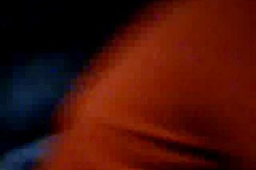 Feeding Baby Bunnies