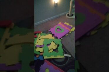 cutest bunny (my opinion)