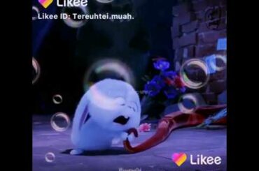 Cute Rabbit🐇🐇😍😘😘😘