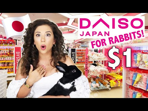 JAPANESE DOLLAR STORE FOR RABBITS SHOPPING SPREE!