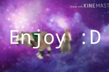 My New Intro (Ft.Stripe My New Baby Bunny :3 IRL)