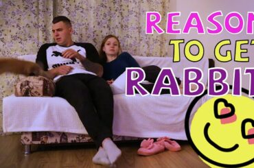 The Reason You Take Rabbit Home Immediately! 😍