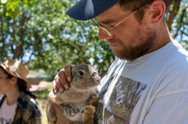 Learn about how Mr. Lavender the rabbit helps this farm be more sustainable