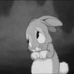 Cute bunny is crying