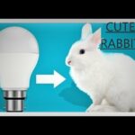 RABBIT MAKING WITH BULB || HOW TO MAKE CUTE RABBIT || Prableen's Artistry ||