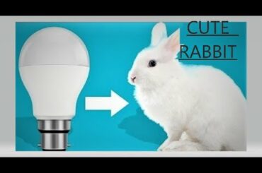 RABBIT MAKING WITH BULB || HOW TO MAKE CUTE RABBIT || Prableen's Artistry ||