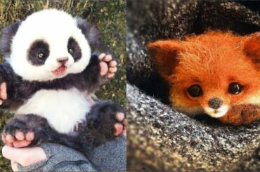 Cute baby animals Videos Compilation cutest moment of the animals - Animals Soo Cute! #1