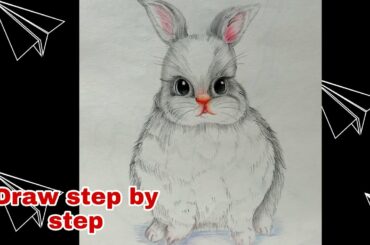 How to draw cute rabbit/easy to draw for beginners /step by step drawing