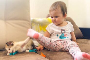 Fun moments of a cute baby and a little kitten!