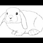 how to draw cute rabbit drawing and painting very easy drawings colouring cute drawings pencil arts
