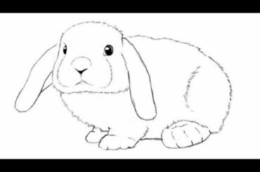 how to draw cute rabbit drawing and painting very easy drawings colouring cute drawings pencil arts