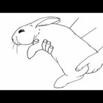 how to draw cute rabbit drawing and painting tips very easy drawings colouring art cute drawings tip