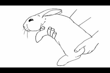 how to draw cute rabbit drawing and painting tips very easy drawings colouring art cute drawings tip