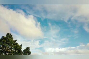 cute 🐇rabbit🐇 eating food 🐇🥕🥕🌿🍃🍃🍃