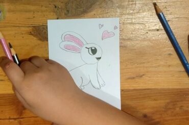 Drawing Cute Rabbit