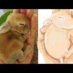 We draw Cute Animal ( little cute rabbit) نرسم حيوانات لطيفة
