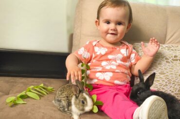 Funny moments of a cute baby with little rabbits!