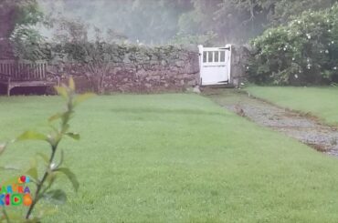 And then there were three little bunnies in our Aberdeenshire garden...