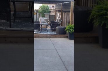 The cutest bunny ever ❤️