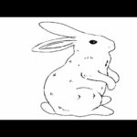 how to draw cute rabbit drawing and painting tips very easy drawings colouring cute drawings pencil