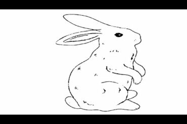 how to draw cute rabbit drawing and painting tips very easy drawings colouring cute drawings pencil