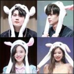 KPOP Idols Cute Moments With Rabbit Hat2