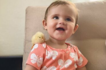 Funny meeting of a cute baby and a little chicken!