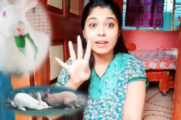 Choosing name for baby bunny ||  baby bunny naamkaran #mypetsinfo
