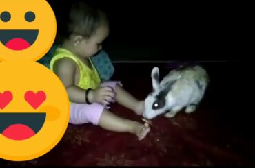 Cute baby playing with rabbit mare sis twin low ki baby😘😘