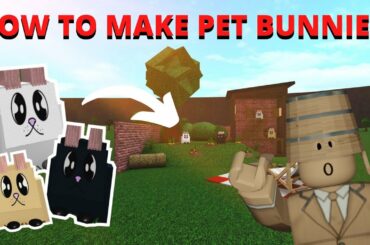 HOW TO MAKE PET BUNNIES IN BLOXBURG!