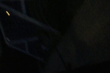 My cute rabbit Charlie 🐇🐇😍