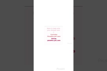 Just a bunch of cute bunny vids