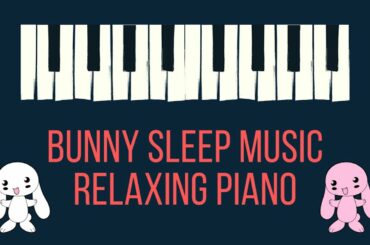 Bunny Sleep Music Relaxing Piano Natural Stress and Anxiety Relief for Rabbits Pet Music