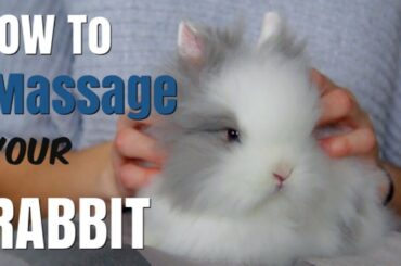 How to massage your Rabbit