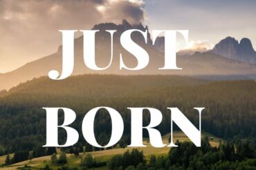 Baby Bunnies within minutes of birth!  New Zealand Blue Rabbits