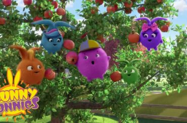 SUNNY BUNNIES - Get the Apples! | Season 4 | Cartoons for Children