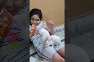 Bunnies funny video with lil girl