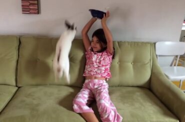 Ridiculously Cute Rabbits