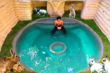 Rescue Poor Newborn Rabbits With Underground Playground And Underground Swimming Pools