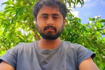 Hello Bunny 🐇🐰 #rabbit #bunnies #cuterabbit #bunnylove #wildrabbit #naturelove