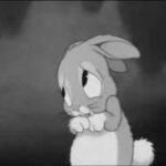 Cute rabbit crying