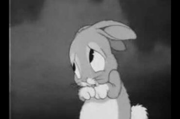 Cute rabbit crying