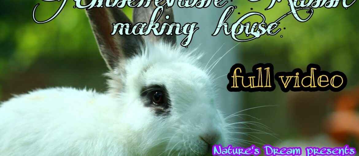 Cute Rabbit Making Nature House Cute Rabbit Making Nature House